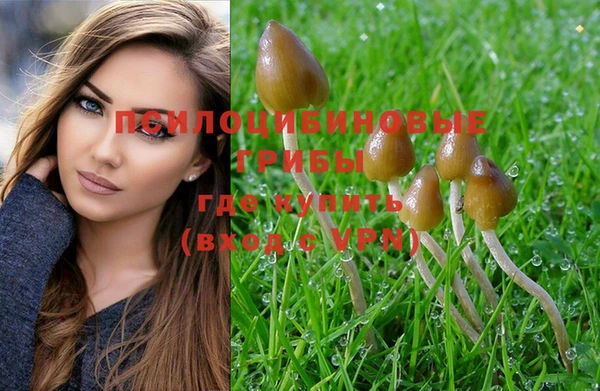 apvp Абдулино