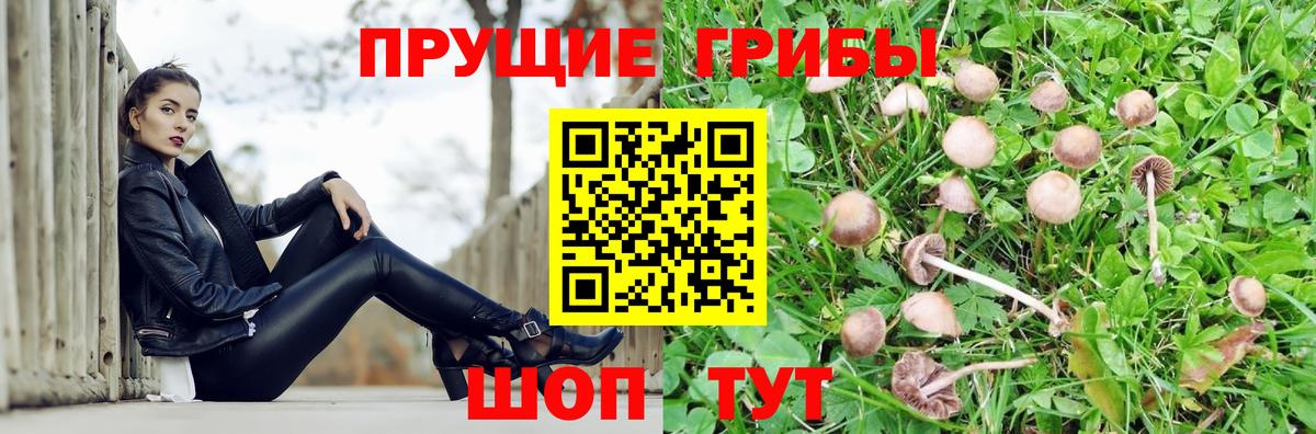 Галлюциногенные грибы Psilocybe  Галлюциногенные грибы Magic Shrooms  Вход с VPN  Лесозаводск 